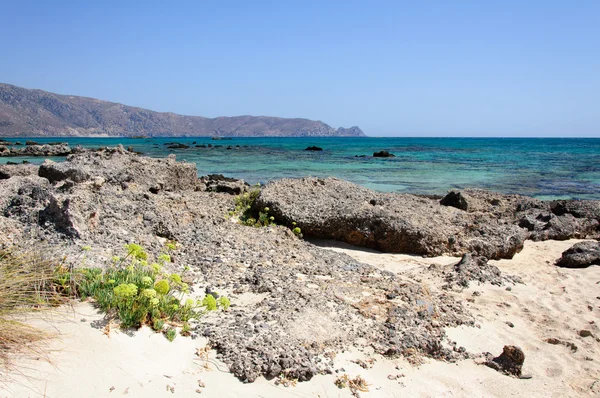 ピンクがかった白い砂浜とターコイズ ブルーの水、クレタ島、ギリシャの elafonissi ビーチ — ストック写真