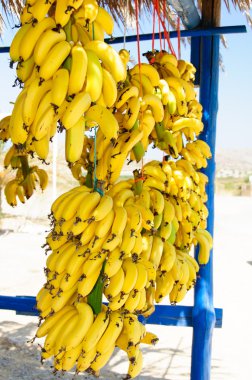 küçük sarı muz vai, crete, Yunanistan'ın ünlü plaj yolunda Satılık sürü