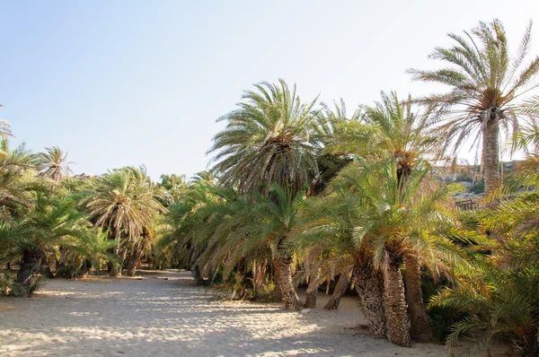 ünlü palm beach vai, Girit Adası, Yunanistan
