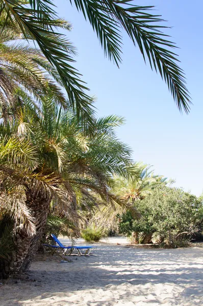 Famosa spiaggia di palme di Vai, isola di Creta, Grecia — Foto Stock