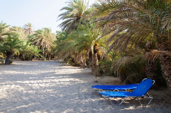 Famosa spiaggia di palme di Vai, isola di Creta, Grecia — Foto Stock