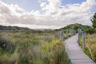 Yazın çim tarlasından geçen tahta patika.