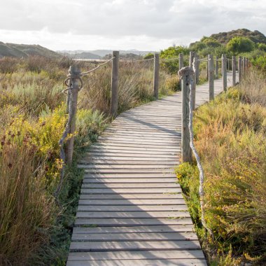 Yazın çim tarlasından geçen tahta patika.