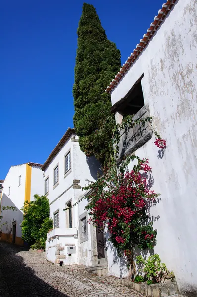 Arquitectura tradicional en la ciudad portuguesa medieval de Obidos —  Fotos de Stock
