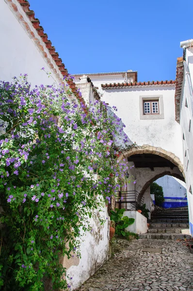 Tradiční architektura ve středověké portugalském městě obidos — Stock fotografie