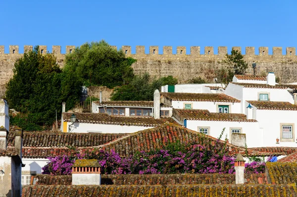 Arquitectura tradicional en la ciudad portuguesa medieval de Obidos — Foto de Stock