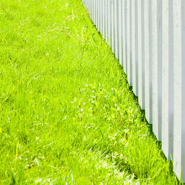 White fence and fresh green grass close-up — Stock Photo, Image