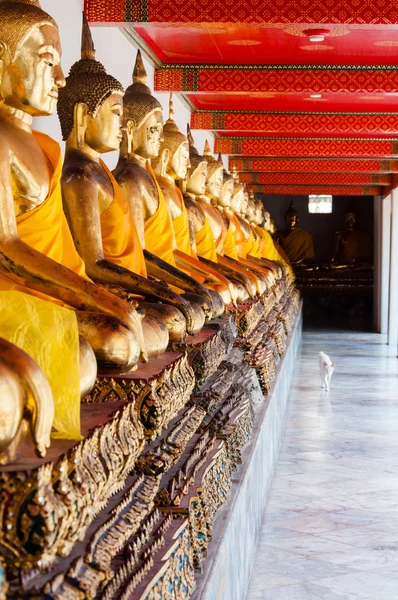 Wat pho, chrám ležícího Buddhy v Bangkoku, Thajsko — Stock fotografie