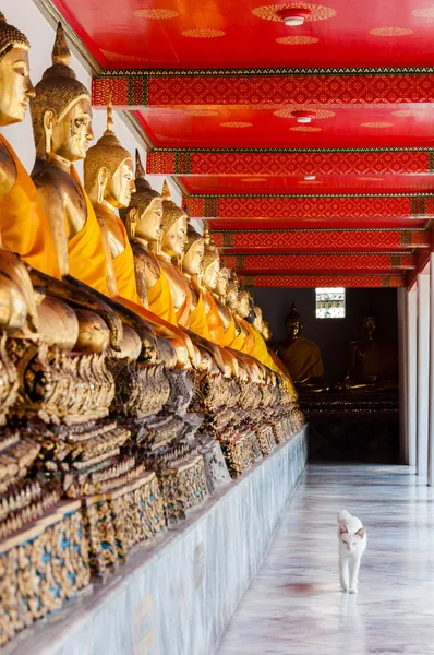 Wat Pho, il tempio del Buddha sdraiato a Bangkok, Thailandia — Foto Stock