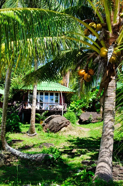 Hermosas casas de playa tropical en la isla de Koh Kood, Tailandia —  Fotos de Stock