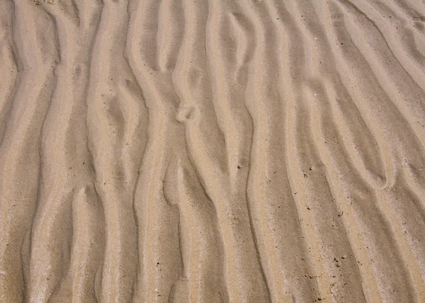 Deseń linii, deseń fala w piasku na plaży — Zdjęcie stockowe