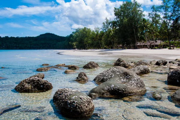 Praia tropical bonita, com areia branca, águas azuis e rochas coloridas — Fotografia de Stock