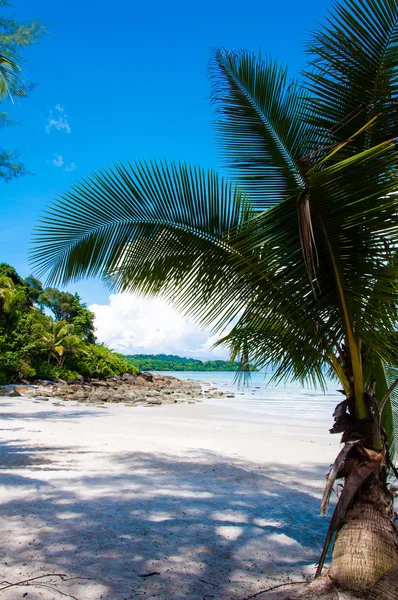 Bella spiaggia tropicale, con sabbia bianca, acque blu e rocce colorate — Foto Stock