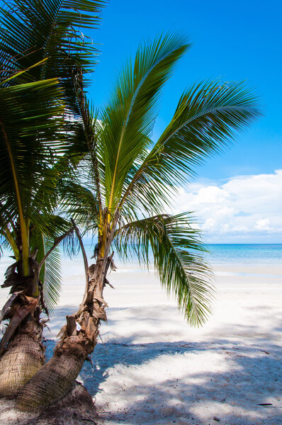 Beautiful tropical beach, with white sand, blue waters and colorful rocks