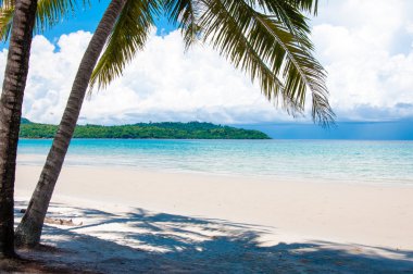 Beyaz kumları ve mavi suları ile egzotik tropik sahil