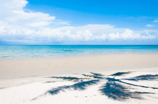 Σκιά του Φοίνικας πέρα από την τροπική παραλία με λευκή άμμο — Φωτογραφία Αρχείου