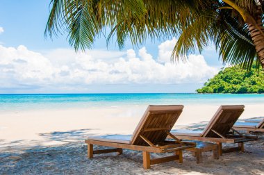 napozóágyak, egzotikus trópusi palm Beach