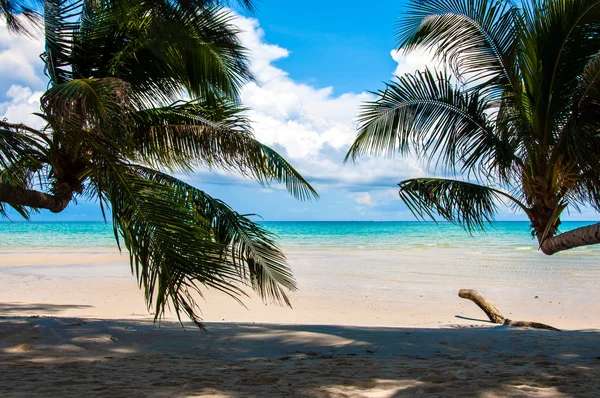 白い砂浜と青い海とエキゾチックな熱帯のビーチ — ストック写真
