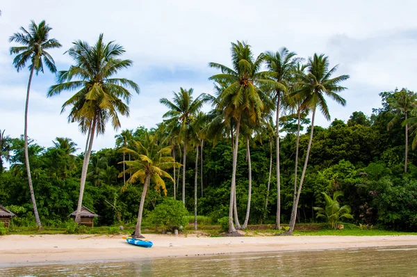 Plage tropicale exotique avec sable blanc et eaux bleues — Photo