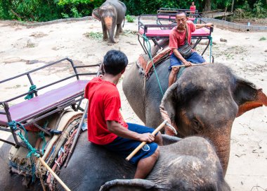 Mahouts ve turlar üzerinde 23 Mayıs 2014 Kanchanaburi, Tayland için turist ile başlamak için bekleyen onların filler.