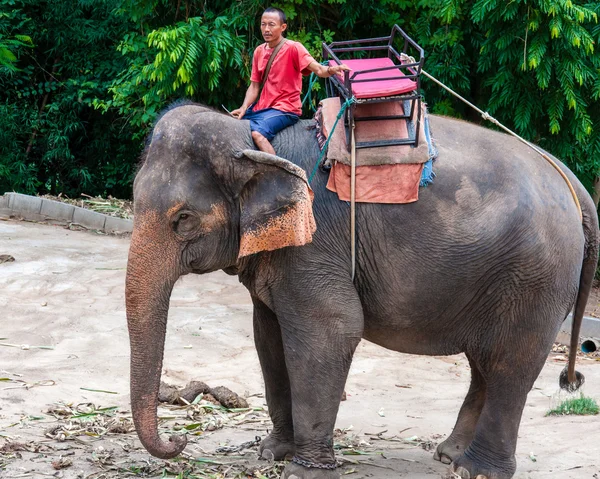 Mahout en zijn olifant te wachten om te beginnen de rondleidingen met toeristen op 23 mei 2014 in kanchanaburi, thailand. — Stockfoto