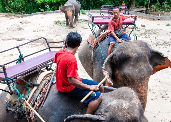 Mahouter och sina elefanter som väntar på att starta turerna med turister den 23 maj 2014 i Kanchanaburi, Thailand. — Stockfoto