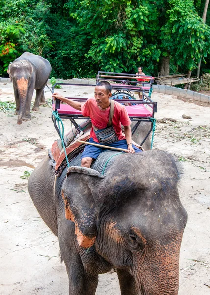 Mahout and his elephant waiting to start the tours with tourists on May 23, 2014 in Kanchanaburi, Thailand. — Stock Photo, Image