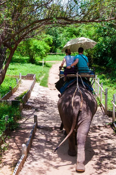 Elephant trekking through jungle in Kanchanaburi, Thailand. — Stock Photo, Image