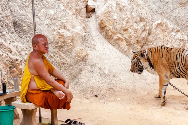 Monje budista con un tigre de bengala en el Templo del Tigre en Kanchanaburi, Tailandia — Foto de Stock