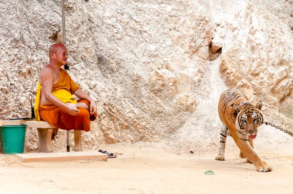 Buddhistischer Mönch mit einem Bengaltiger im Tigertempel in Kanchanaburi, Thailand — Stockfoto