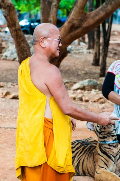 Buddistisk munk utfodring med mjölk en bengalisk tiger i thailand — Stockfoto