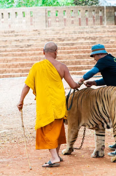 Boeddhistische monnik en vrijwilligers met Bengaalse tijger in thailand — Stockfoto