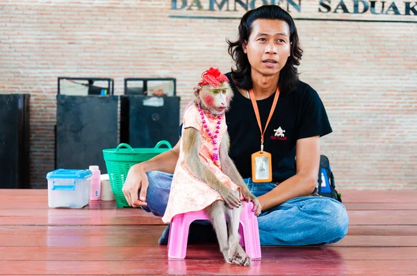 Espectáculo de monos en Damnoen Saduak Floating Market, Tailandia —  Fotos de Stock