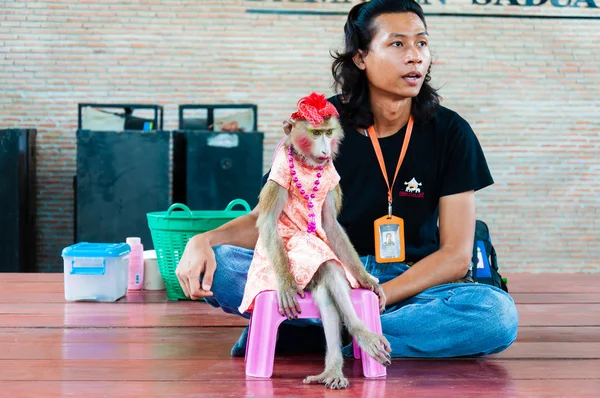 Monkey show at Damnoen Saduak Floating Market, Thailand — Stock Photo, Image