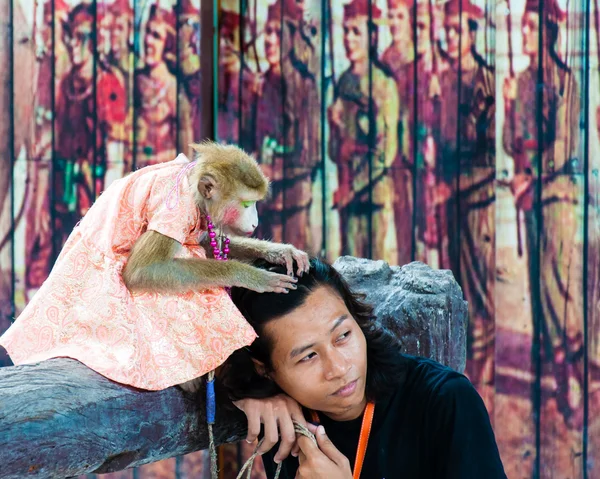 Monkey show på damnoen saduak flytande marknaden, thailand — Stockfoto