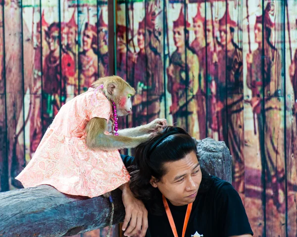 Espectáculo de monos en Damnoen Saduak Floating Market, Tailandia — Foto de Stock