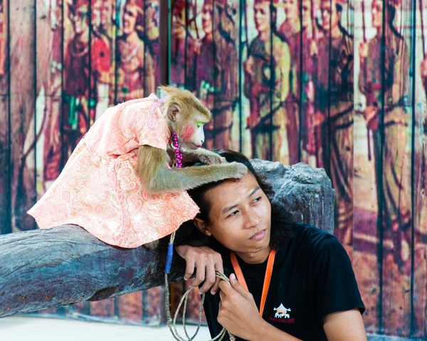 Scimmia spettacolo a Damnoen Saduak Floating Market, Thailandia — Foto Stock