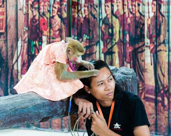 Scimmia spettacolo a Damnoen Saduak Floating Market, Thailandia — Foto Stock