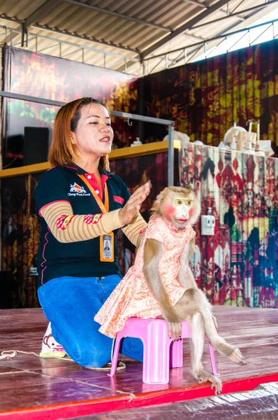 Espectáculo de monos en Damnoen Saduak Floating Market, Tailandia —  Fotos de Stock