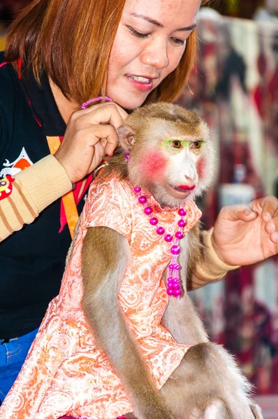 Espectáculo de monos en Damnoen Saduak Floating Market, Tailandia —  Fotos de Stock