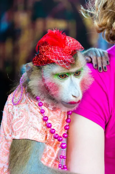 Macaco vestido treinado posando com turistas na Tailândia — Fotografia de Stock