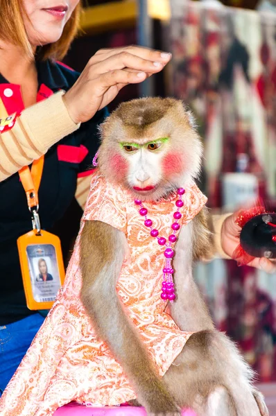 Show de macacos no Damnoen Saduak Floating Market, Tailândia — Fotografia de Stock