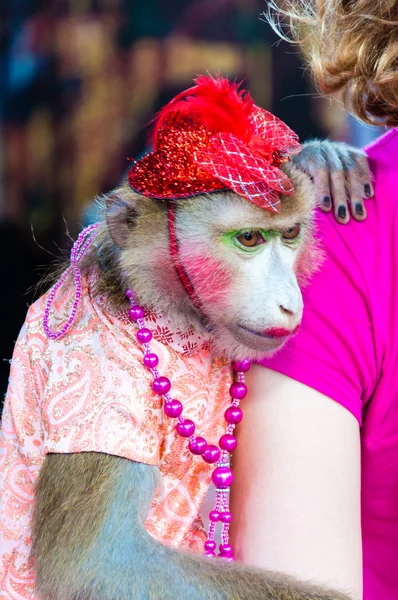 Mono vestido fotos de stock, imágenes de Mono sin royalties | Depositphotos