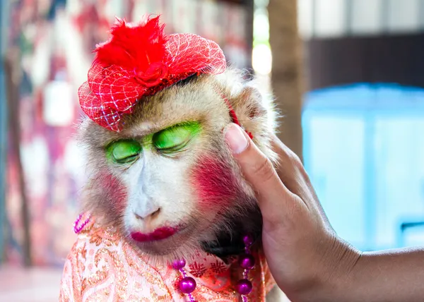 Retrato de mono vestido entrenado posando con turistas en Tailandia — Foto de Stock