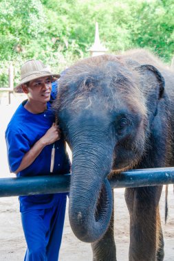 fil ve onun fil samphran fil zemin & hayvanat bahçesinde nakhon pathom, thailand