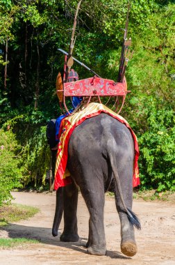 fil ve onun elephant adlı samphran fil yere & hayvanat bahçesinde nakhon pathom, thailand