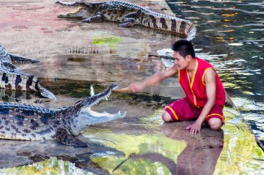 Timsah samphran Timsah çiftliği: nakhon pathom, thailand içinde göster