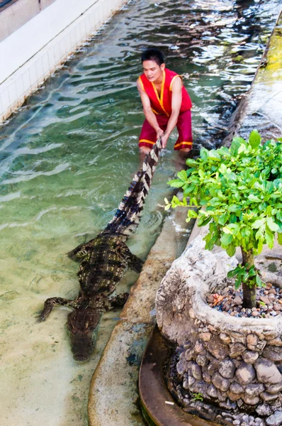 Krokodilshow auf der Krokodilfarm in Samphran, Thailand — Stockfoto