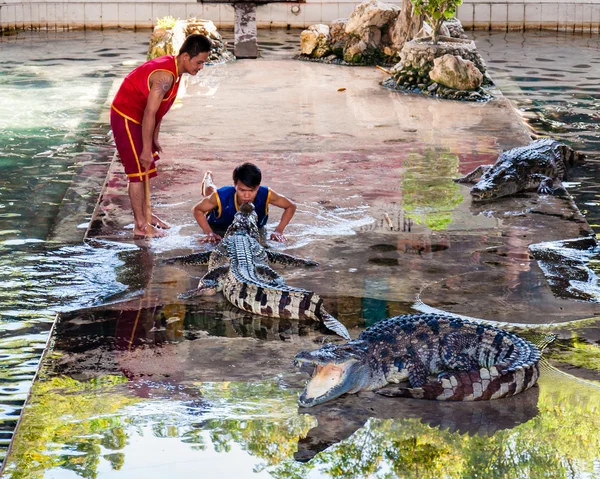 Krokodil show samphran krokodil farm, nakhon Pathom, Thaiföld — Stock Fotó
