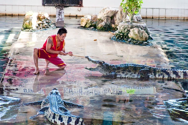 Krokodilshow auf der Krokodilfarm in Samphran, Thailand — Stockfoto